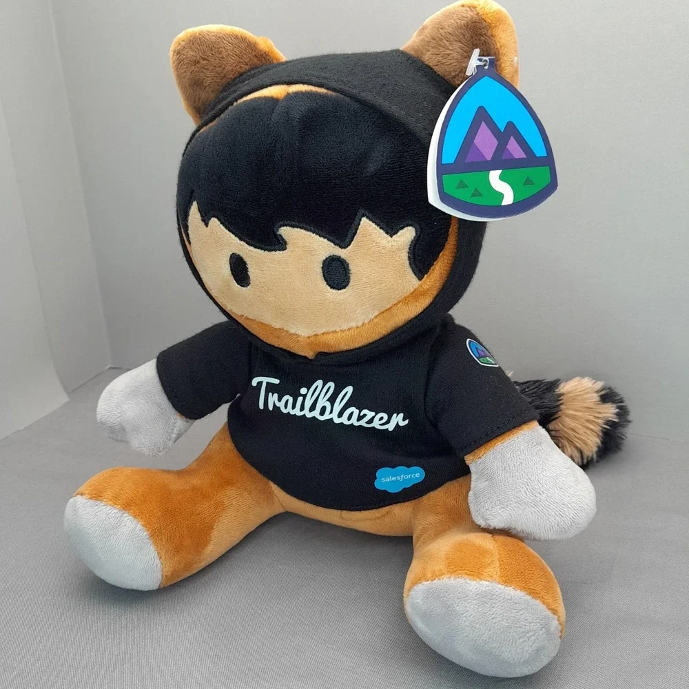 Salesforce Trailblazer Astro Raccoon Plush 8